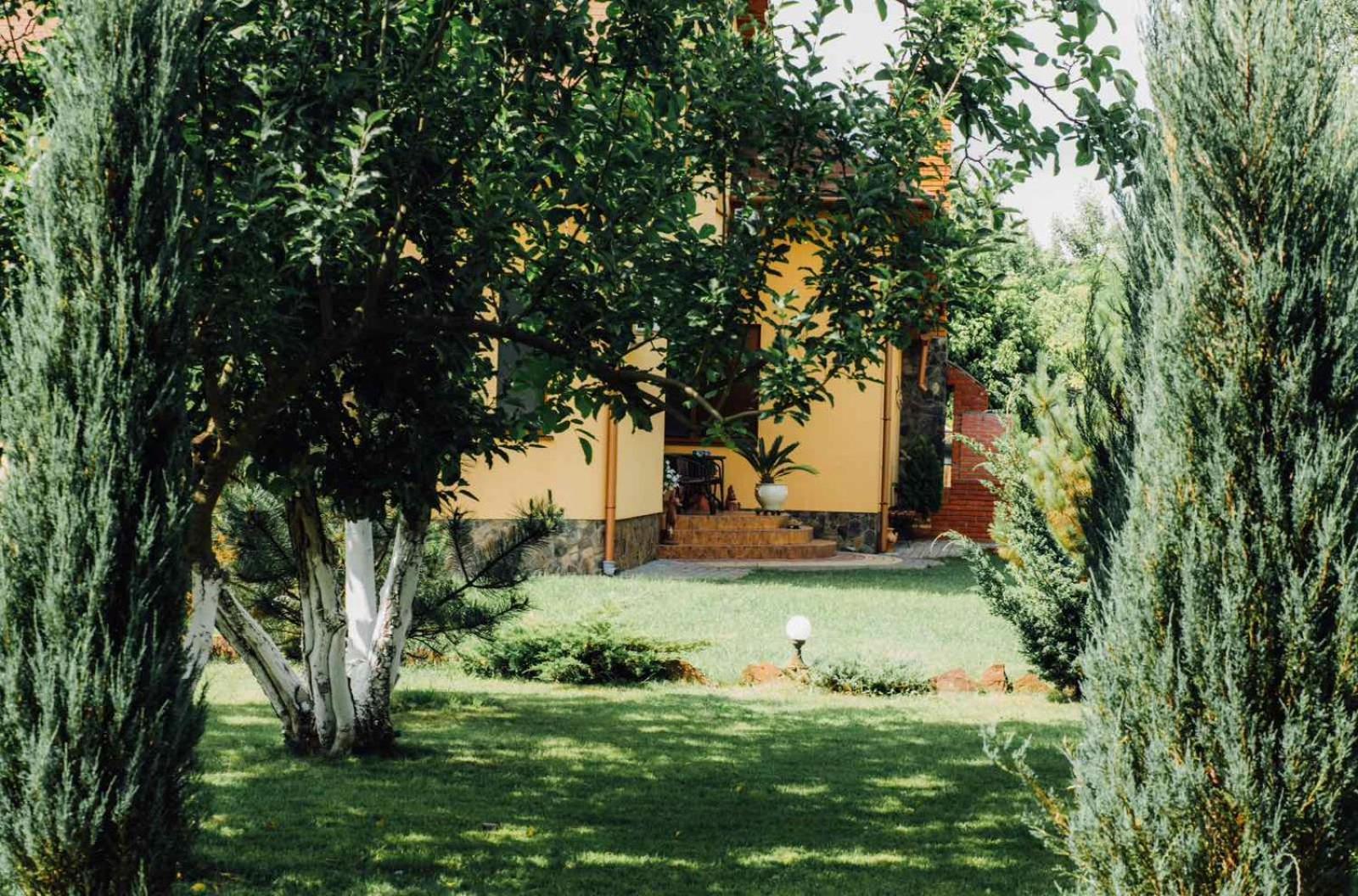Villa Fenix Berehove  Eksteriør billede